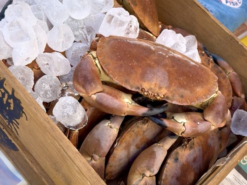 Friday Night Fish Fry Fish and Chips Abbotsbury Chesil Beach Cafe